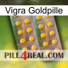 Vigra Gold Pill new10